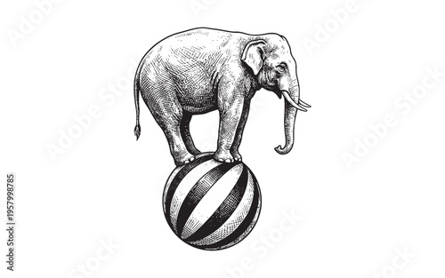 circus elephant balancing on a striped ball sketch illustration
