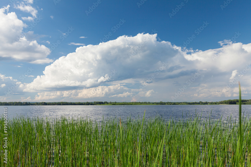 Fototapeta premium Sunny summer landscape with river and field