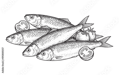 fresh raw herrings or sardines with tomato slices