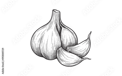garlic bulb and peeled cloves