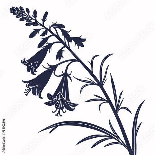 фотографія artemisia absinthium flower silhouette on white background