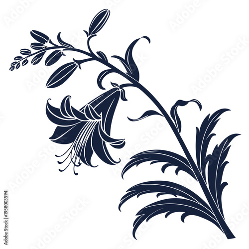 Fotografie vector illustration of acanthus mollis flower silhouette