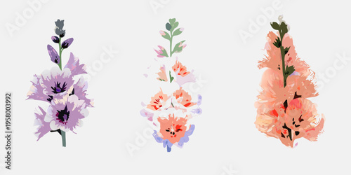Three floral illustrations of gladiolus blooms in varying pastel shades