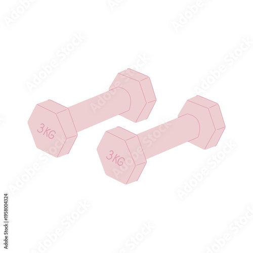 Pair of pink hex dumbbells 3 kg for women's fitness and strength training, flat vector illustration