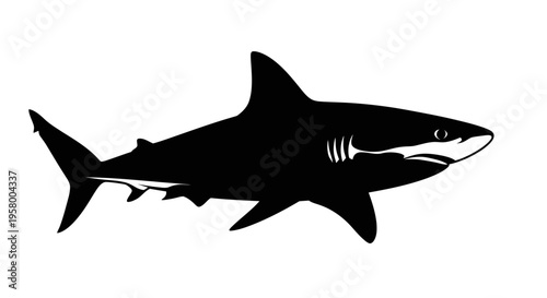 Silhouette of a great white shark swimming underwater.