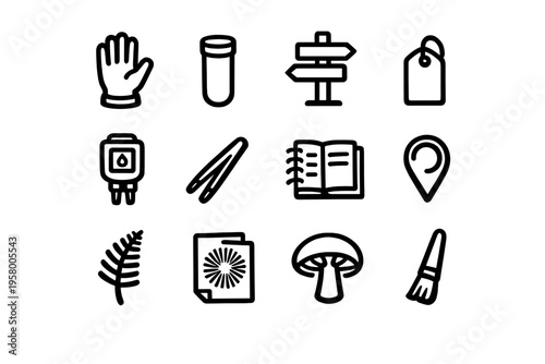 A set of twelve minimalist line icons depicting tools for nature