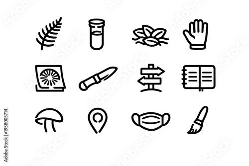 A set of twelve minimalist line icons featuring nature exploration