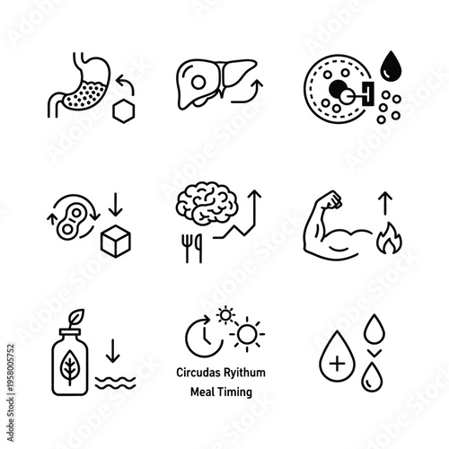 Health and Wellness Icons Representing Biological Processes and Lifestyle Choices.