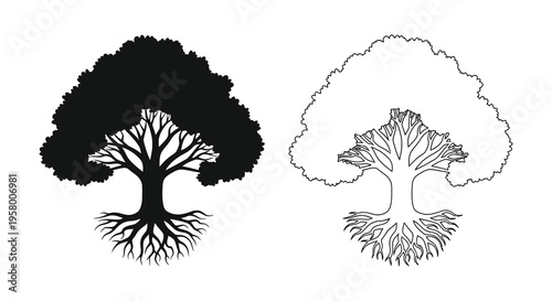 Two contrasting oak trees one dark and one light silhouette