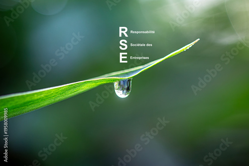 RSE stands for Relative Standard Error. In statistics it measures the deviation of an estimate from a sample expressed as a proportion of that estimate.