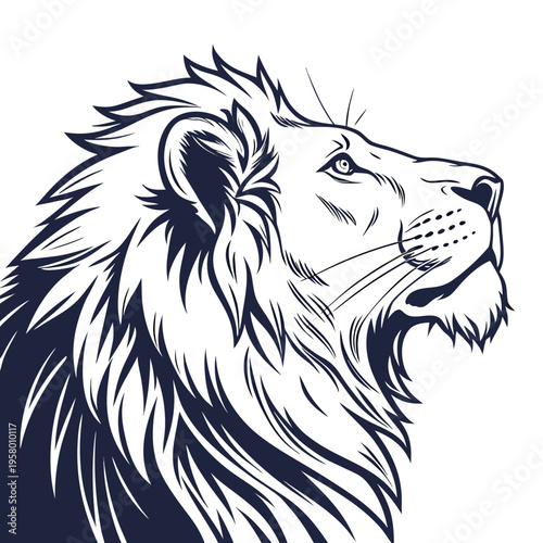 A lion's head with a majestic mane