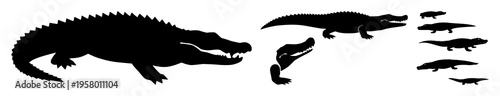 Crocodile silhouette set with simple line art design featuring sketches, drawings, vector graphics with minimalist and simple illustrations