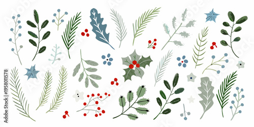 Delicate botanical illustration featuring winter foliage and berry sprigs