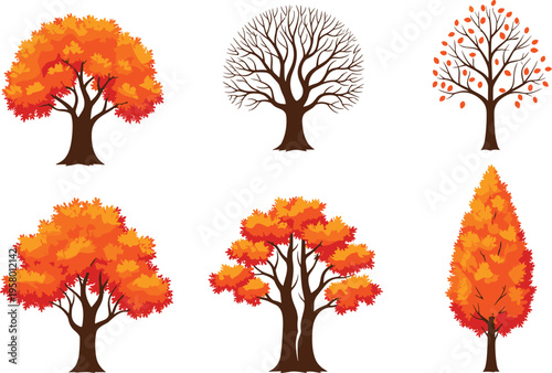 Set of autumn tree illustrations with orange fall leaves and bare branches isolated on white background for seasonal nature landscape and forest design projects.