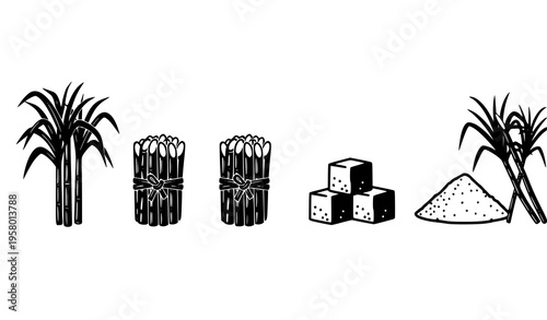 Sugarcane and sugar vector icons set with stalks, bundles, sugarcubes, and granulated sugar symbols