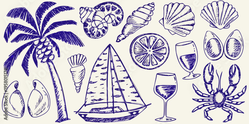 Coastal sketches featuring shells a sailboat citrus and tropical elements