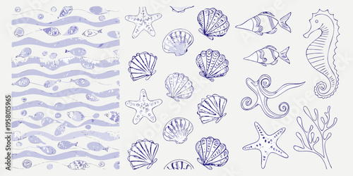 Sketch of various marine life including fish shells and coral