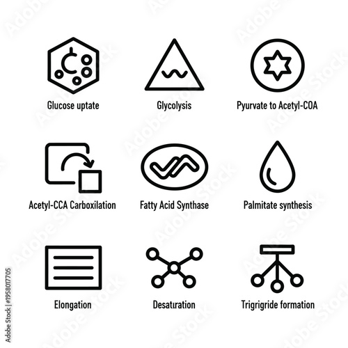 Metabolic Pathways Icons Set for Biological Processes.