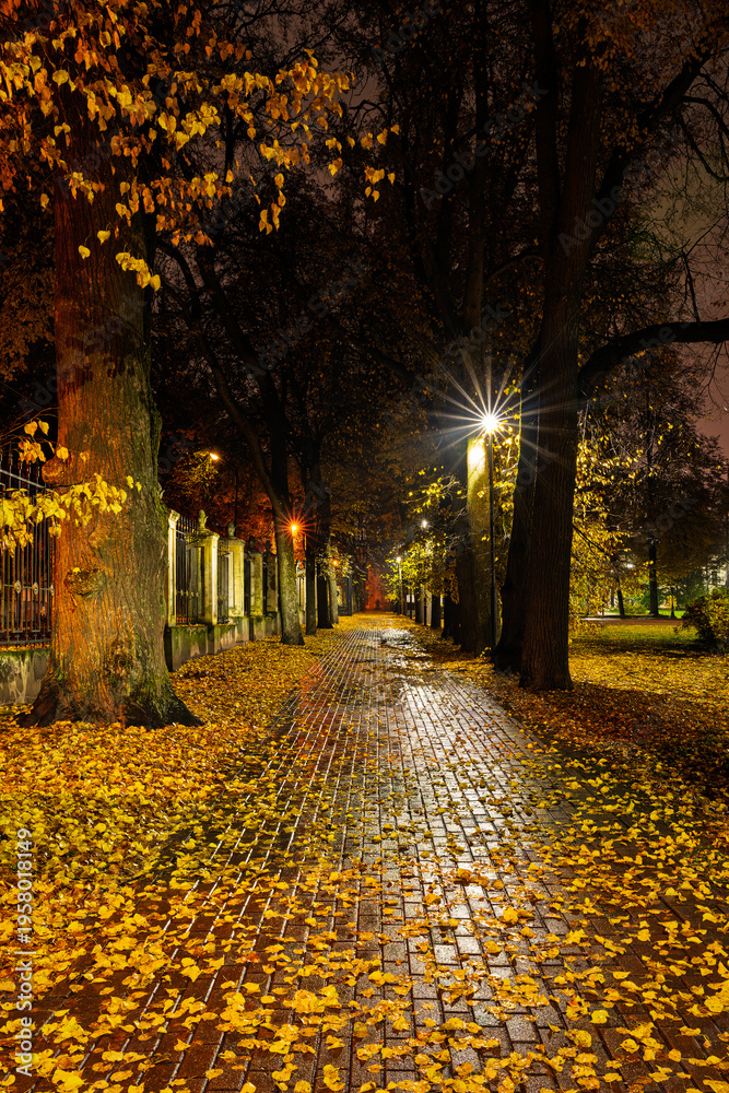 Obraz premium Paved pathway illuminated by streetlights in autumn park at dusk, surrounded by trees with colorful fallen leaves. Serene evening outdoor scene for calm mood.