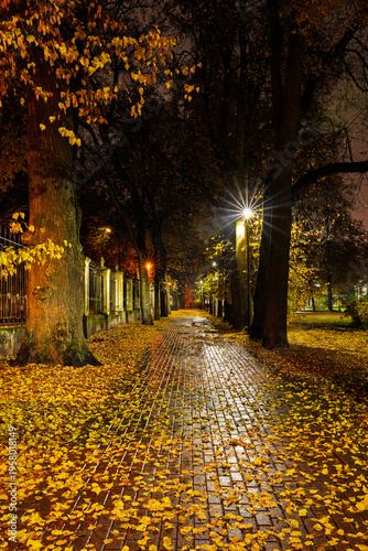 Paved pathway illuminated by streetlights in autumn park at dusk, surrounded by trees with colorful fallen leaves. Serene evening outdoor scene for calm mood.