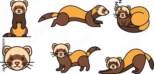 Cute Ferret Animal Character Icon Set with Sleeping Playing Standing and Stretching Poses for Wildlife Pet Illustration and Cartoon Design Collection