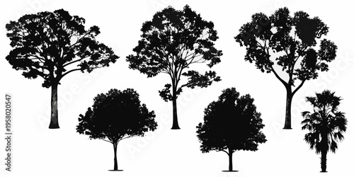 Collection of various tree silhouettes against a plain white background