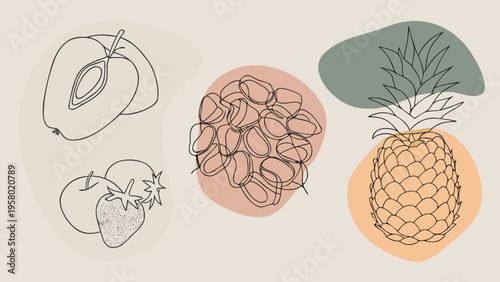 A set of vector illustrations of dried fruits, raisins, apricots, dates, pineapple slices, strawberries, and prunes for the concept of organic and nutritious snacks. Healthy Eating