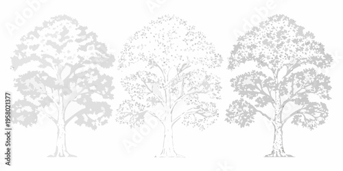 Three stylized trees with varying levels of detail and shading
