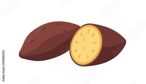 Sweet Potato Vector Illustration, Isolated Cut in Half with Realistic Detail for Food or Nutrition Design