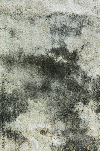 Tableau sur toile detailed view of a weathered concrete wall surface covered in dark dampness and