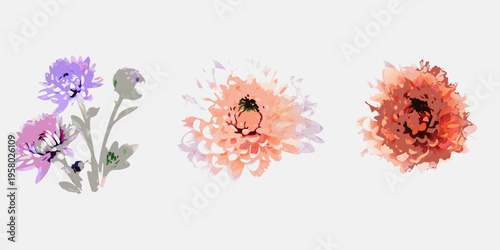 Watercolor floral arrangement featuring three uniquely colored chrysanthemum blossoms