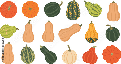 Whimsical Colorful Pumpkin and Gourd Collection with Decorative Patterns and Folk Art Style for Creative Autumn Harvest and Festive Thanksgiving Vector Illustration Designs
