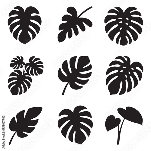 Silhouette Topical leaves Icons Set Illustrations