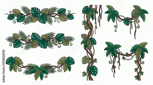 Various tropical jungle lianas with green monstera and palm leaves set on white background, concept for botanical decoration, exotic wallpaper design and summer event invitation