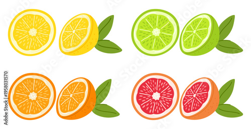 Fruit slices. Juicy citrus. Grapefruit and orange. Half of lemon. Lime with leaves. Refreshing lemonade. Food product. Sweet tangerine part. Natural fresh citron isolated pieces vector set