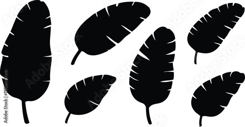 Stylized tropical banana leaf silhouettes versatile graphic elements for exotic summer designs and botanical patterns