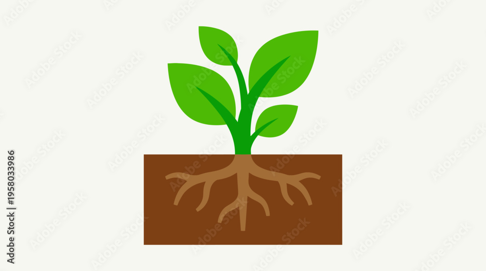 Naklejka premium Simple illustration of a green plant with leaves and visible roots embedded in brown soil, depicting growth and nature.