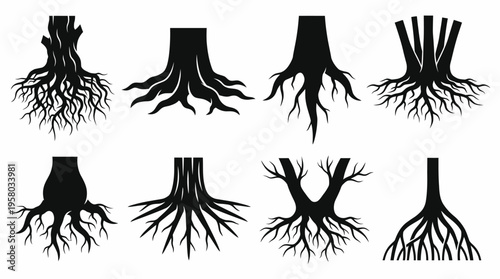 Eight black silhouette illustrations of various tree roots and trunks, depicting different growth patterns and underground structures on a white background.