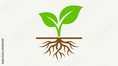 Stylized graphic illustration of a green plant seedling with visible roots and leaves above ground.