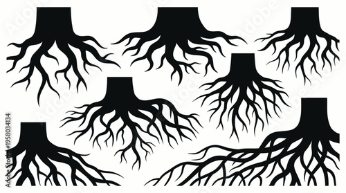 Collection of black silhouettes depicting various intricate tree root systems and underground structures on a white background, showcasing natural patterns.