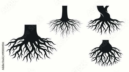 Four black silhouette illustrations of various tree root systems and trunk bases, showcasing different underground structures and growth patterns.