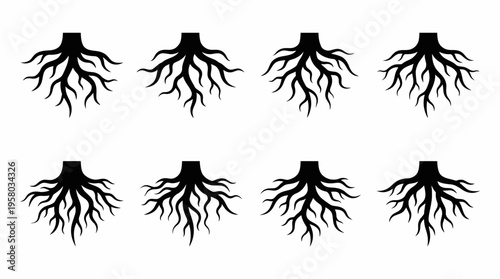 Eight black stylized tree root silhouettes with intricate branching patterns on a white background, representing growth and foundation.