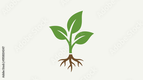 A simple illustration of a green plant with three leaves and visible brown roots against a light background, symbolizing growth and nature.