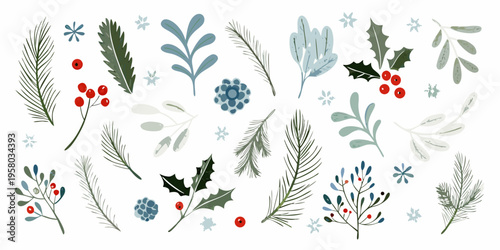 Festive botanical illustration featuring winter foliage and red berries