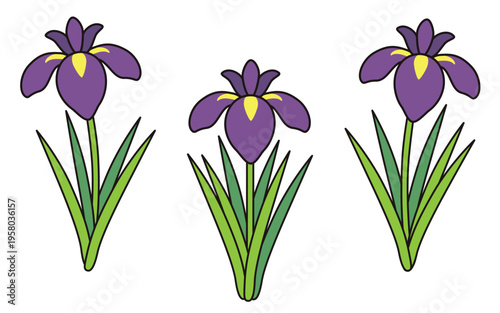 花菖蒲のイラスト 端午の節句 子供の日素材