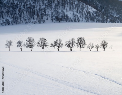 A line of bare trees stands against a vast, snow-covered expanse with a backdrop of a snow-dusted hillside under a bright sky