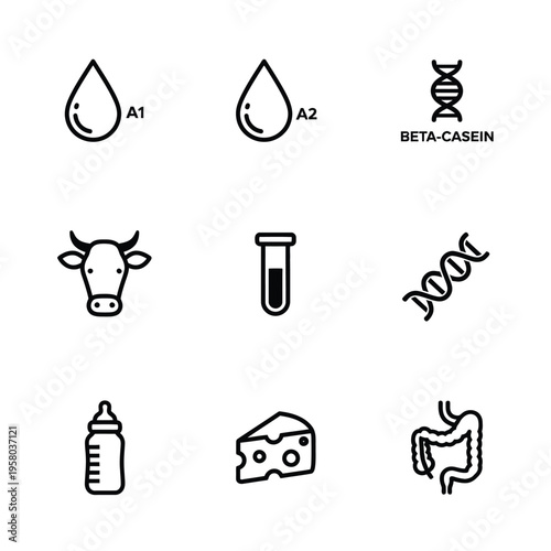 Dairy Protein A1 A2 Beta Casein Genetics Cow Milk Cheese Baby Bottle Digestion Icons.