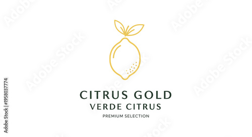 Vector citrus logo with gold and green text