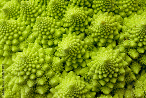 Tableau sur toile ロマネスコのフラクタル構造クローズアップ（Close up of romanesco broccoli fractal pattern）