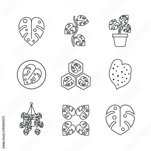 Monstera Plant Leaf Icons Set Vector.